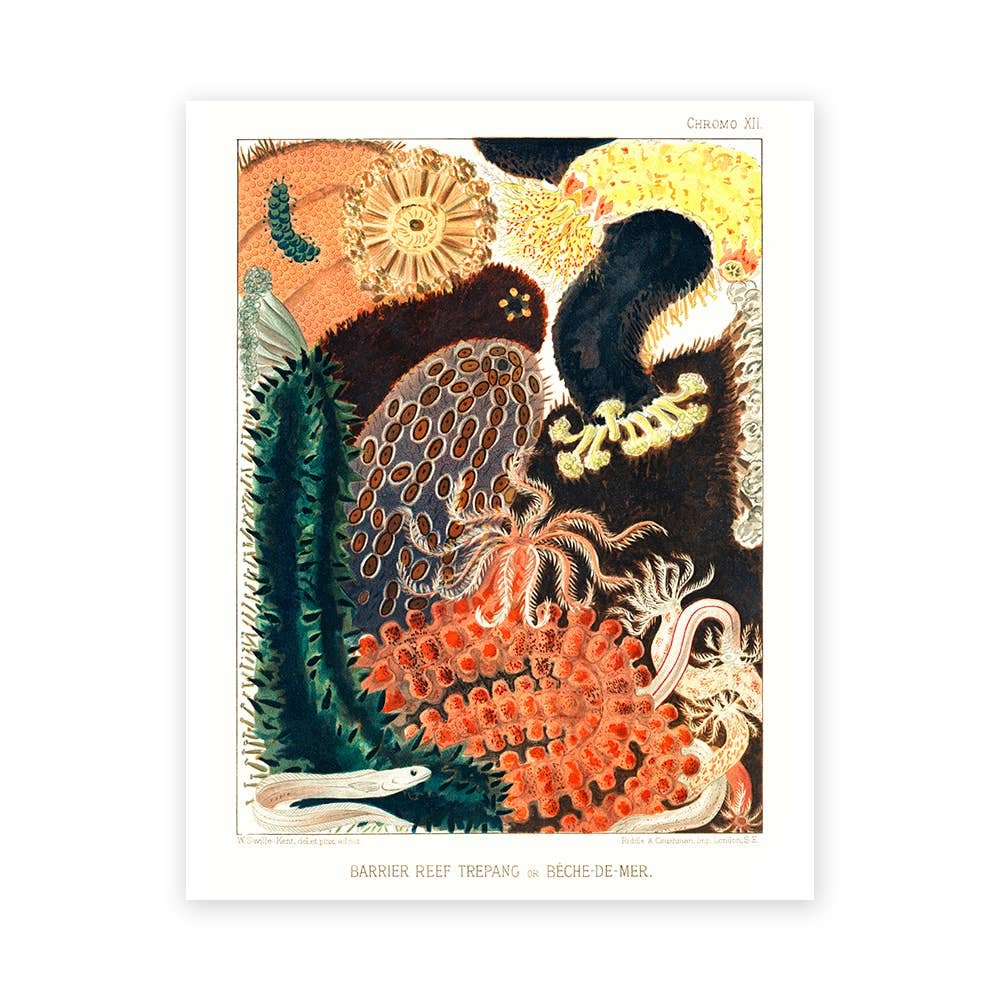BarrierReef1ArtPrint02.jpg Barrier Reef {multiple styles} | 11" x 14" Art Print - Image 3