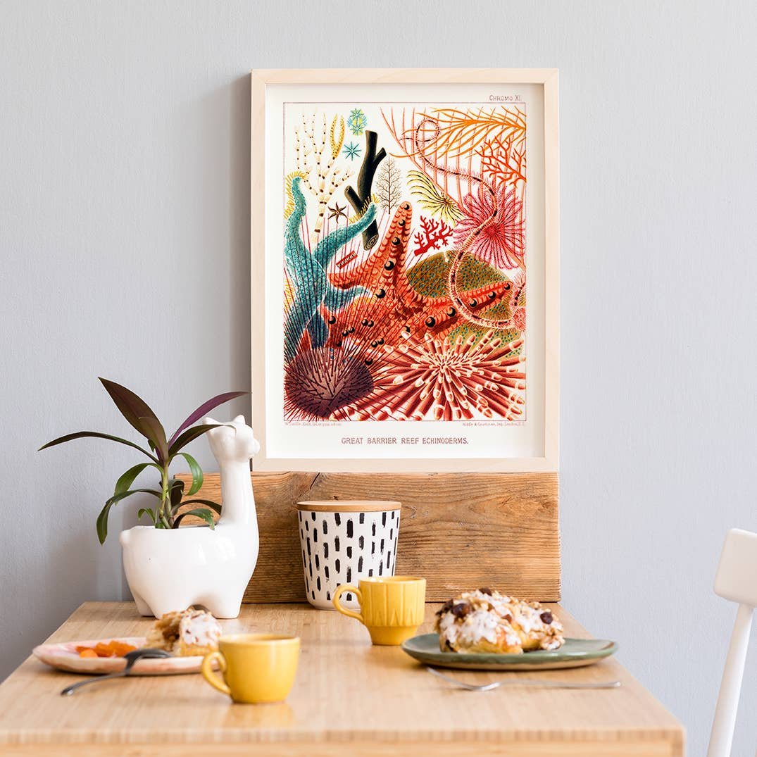 BarrierReef2ArtPrint01.jpg Barrier Reef {multiple styles} | 11" x 14" Art Print