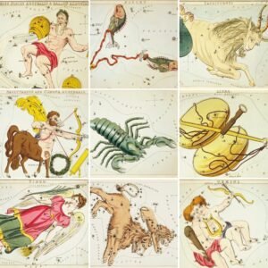 Vintage Zodiac Sign Astrology 8x10 Art Prints