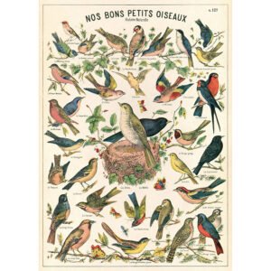 Bird Chart 20x28 Wrap Sheet/Art Print